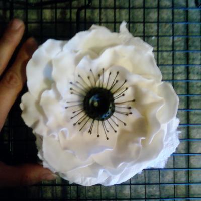 Anemone on Cake Central