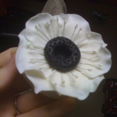 Anemone- Gumpaste on Cake Central