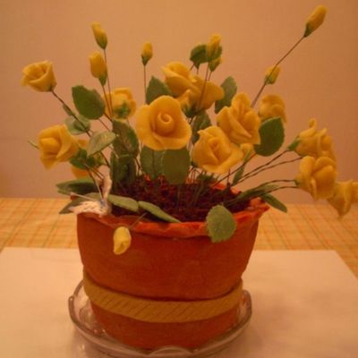 Terracotta Pot Of Roses Terracotta Pot Of Roses