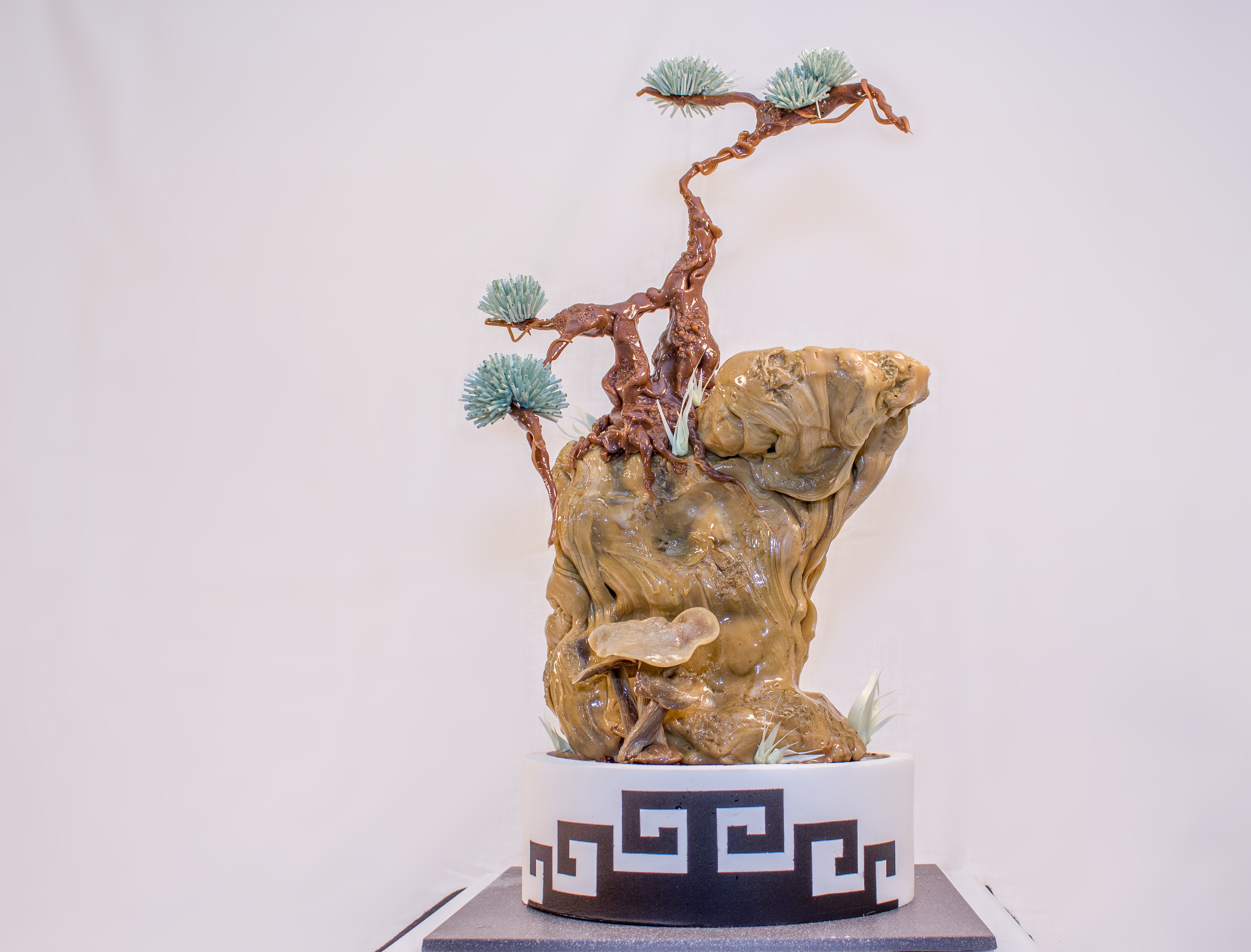 Bonsai Tree On Rock - CakeCentral.com