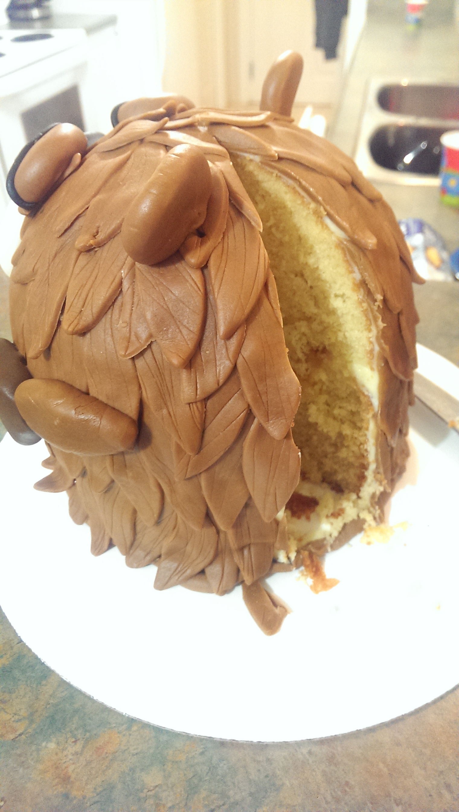 Canadian Beaver Castor Canadiense Canada Fondant