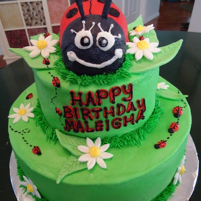 Ladybug Birthday Cake Ladybug Birthday Cake