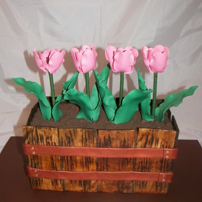 Window Box Tulips Window Box Tulips