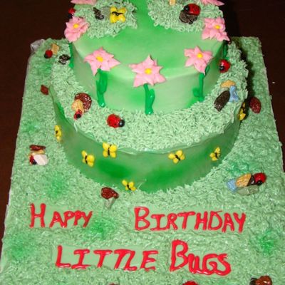 Little Bugs Birthday Cake Little Bugs Birthday Cake