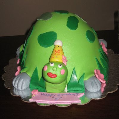 Turtle Cake Turtle Cake
