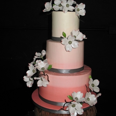 Dogwoods And Ombre Dogwoods And Ombre