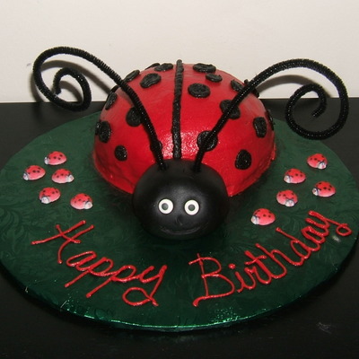 Lady Bug Lady Bug