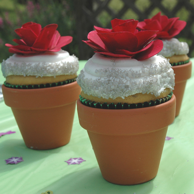 Potted Cupcake Potted Cupcake