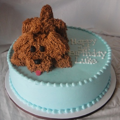 Luke's 1St Birthday Luke's 1St Birthday