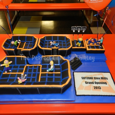 Sky Zone Trampoline Cake