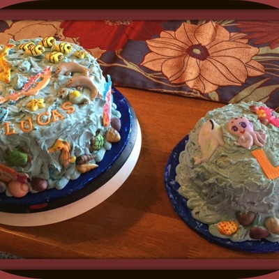 Lucas's 1St Birthday Cake & Smash Cake Lucas's 1St Birthday Cake & Smash Cake