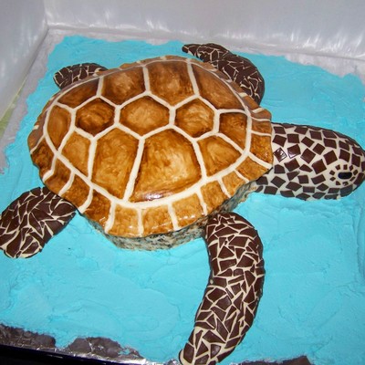 Sea Turtle 50Th Birthday Cake