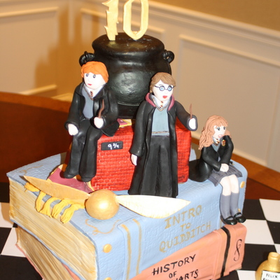 Harry Potter Harry Potter