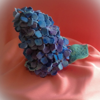 Hydrangea Hydrangea