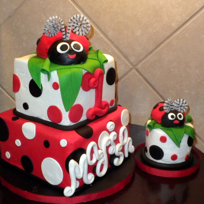 First Birthday Lady Bug First Birthday Lady Bug