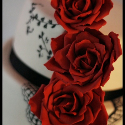Big Red Roses With Little Touch Of Black Big Red Roses With Little Touch Of Black