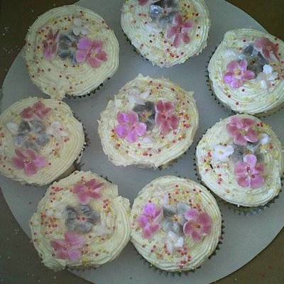 Vanilla Cupcakes Vanilla Cupcakes