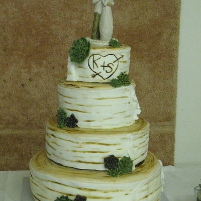 Birch Log And Succulents Wedding Cake Birch Log And Succulents Wedding Cake