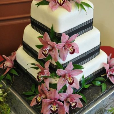 Red Velvet Cake With Marshmallow Fondant Bride Supplied Fresh Orchids This Is My First Wedding Cake And First Time Making And Working Wi Red Velvet Cake With Marshmallow Fondant Bride Supplied Fresh Orchids This Is My First Wedding Cake And First Time Making And Working Wi