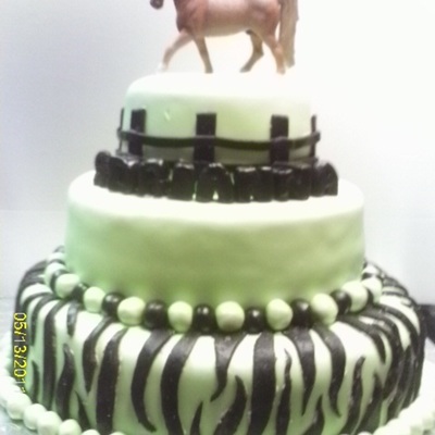 Adriannas Birthday Cake Adriannas Birthday Cake