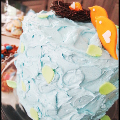 Baby Bird Shower Baby Bird Shower