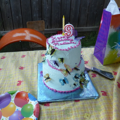 Butterfly Birthday Cake Butterfly Birthday Cake