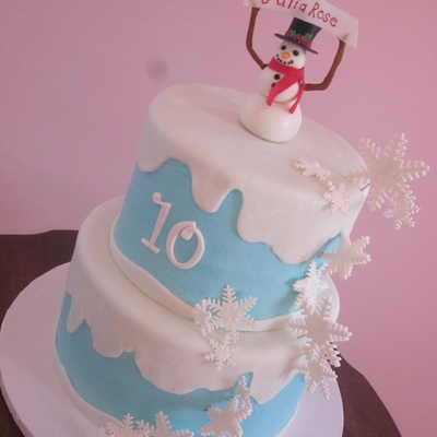 A Snowy Birthday A Snowy Birthday