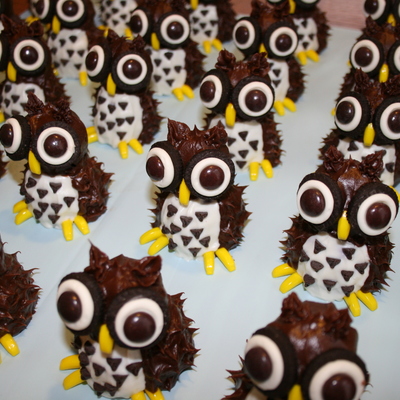 Whooo's Up For Cake?! Whooo's Up For Cake?!