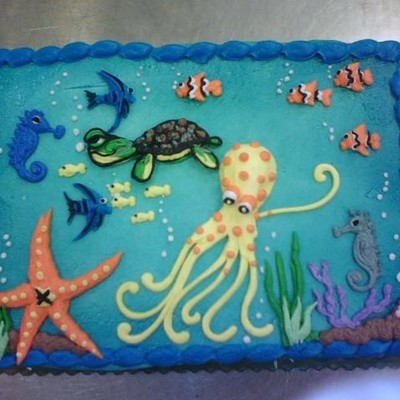 Animals Of The Ocean Animals Of The Ocean