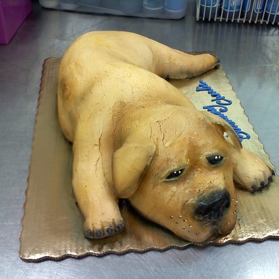 Sleepy Puppy Cake Sleepy Puppy Cake