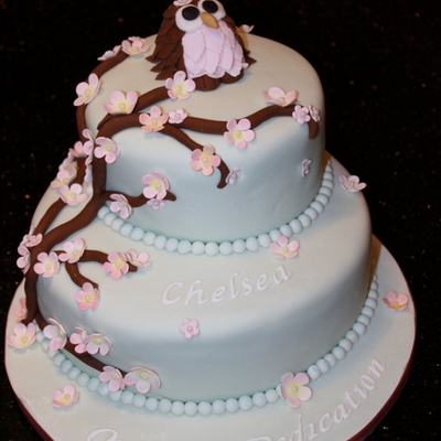 Owl And Blossowm Dedication Cake This Cake Is Made In Vanilla Sponge Filled With Vanilla Buttercream And Raspberry Coulis Owl And Blossowm Dedication Cake This Cake Is Made In Vanilla Sponge Filled With Vanilla Buttercream And Raspberry Coulis