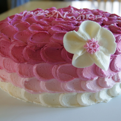 Pink/burgundy Swirl Cake Pink/burgundy Swirl Cake