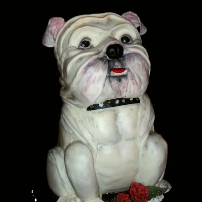 Bulldog Cake Bulldog Cake