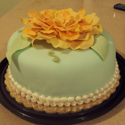 Turquoise And Apricot Turquoise And Apricot