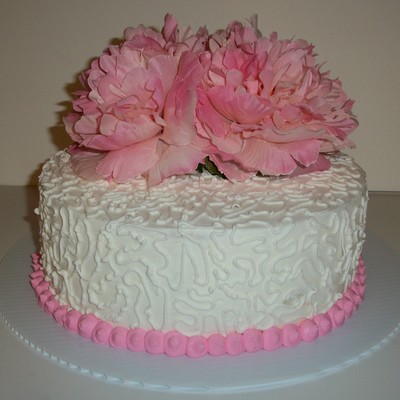 Cornelli Lace Cornelli Lace