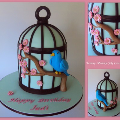 Blossom Blue Bird, Cage Cake Blossom Blue Bird, Cage Cake
