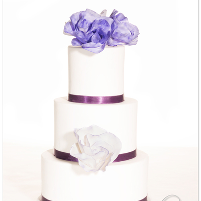 "classic Rose" Design In Purple "classic Rose" Design In Purple