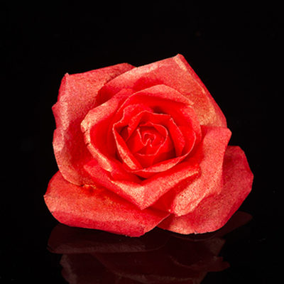 Wafer Paper Roses on Cake Central