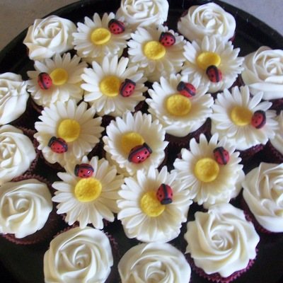 Lady Bug Shower Lady Bug Shower