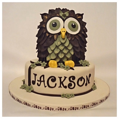 Owl Cake For A 1St Birthday The Colors Were Based Off Pictures From The Babys Nursery Owl Cake For A 1St Birthday The Colors Were Based Off Pictures From The Babys Nursery