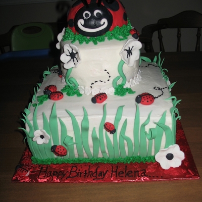 Ladybug Birthday Ladybug Birthday