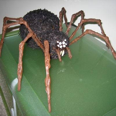 Spider Cake Spider Cake
