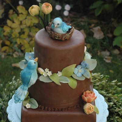 Blue Bird Baby Shower Cake Blue Bird Baby Shower Cake
