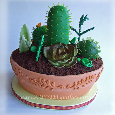 Cactus / Succulant Plants Cake I had a request for a ladies 90th birthday cake be a succulants cake and had full creative control so thought this was a great cake for a...