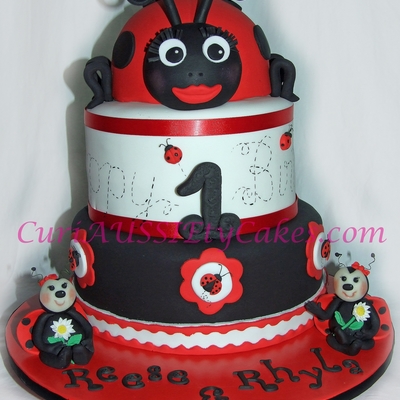 Twins Ladybug Cake Twins Ladybug Cake