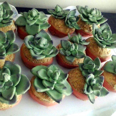 Succulent Cupcakes For A Bridal Shower Devils Food With Peanut Butter Frosting And Mmf Succulents And Pots Succulent Cupcakes For A Bridal Shower Devils Food With Peanut Butter Frosting And Mmf Succulents And Pots