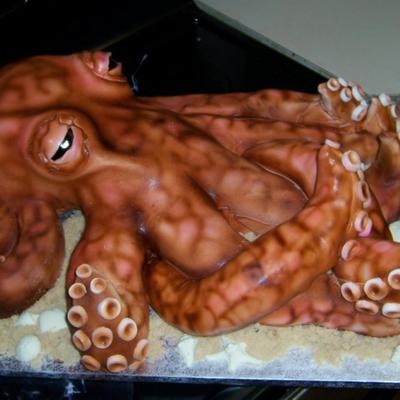 Octopus Cake Octopus Cake