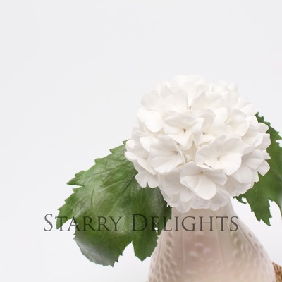 Guelder Rose For The Super Mums Collaboration Guelder Rose For The Super Mums Collaboration
