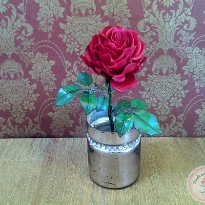 Red Beauty My First Wired Rose Hello My Friends I Would Like To Show You My First Wired Rose This Week I Had Some Time Besides Work An Red Beauty My First Wired Rose Hello My Friends I Would Like To Show You My First Wired Rose This Week I Had Some Time Besides Work An