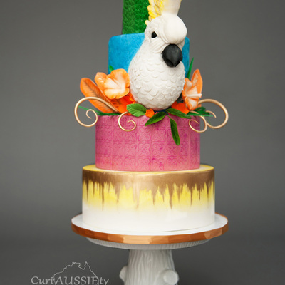 Cockatoo Carnival Cake Cockatoo Carnival Cake